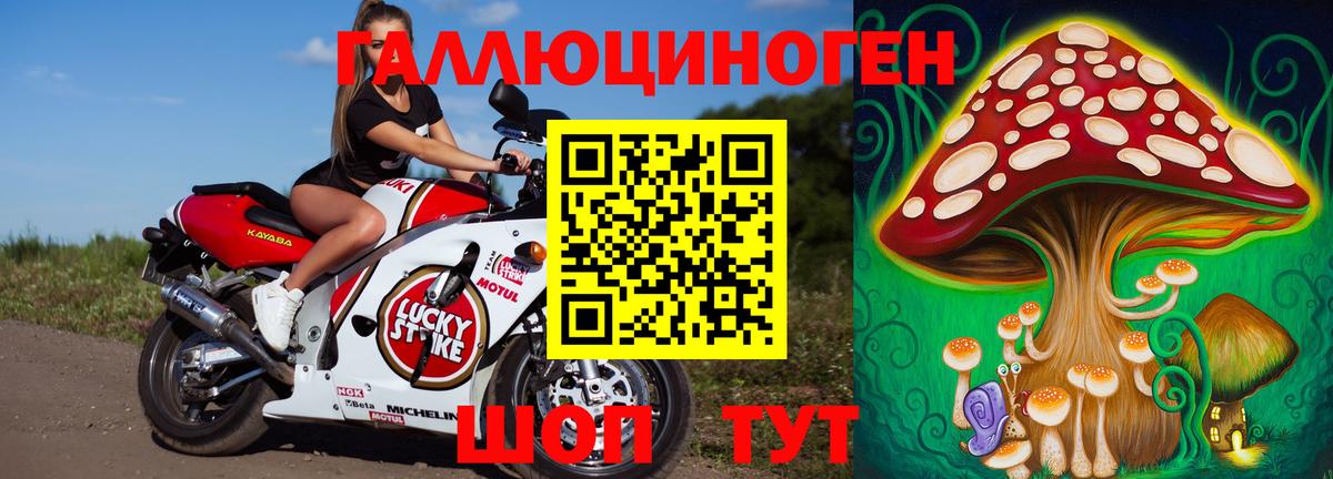 Галлюциногенные грибы Psilocybe  купить закладку  Асбест  Вход с VPN 
