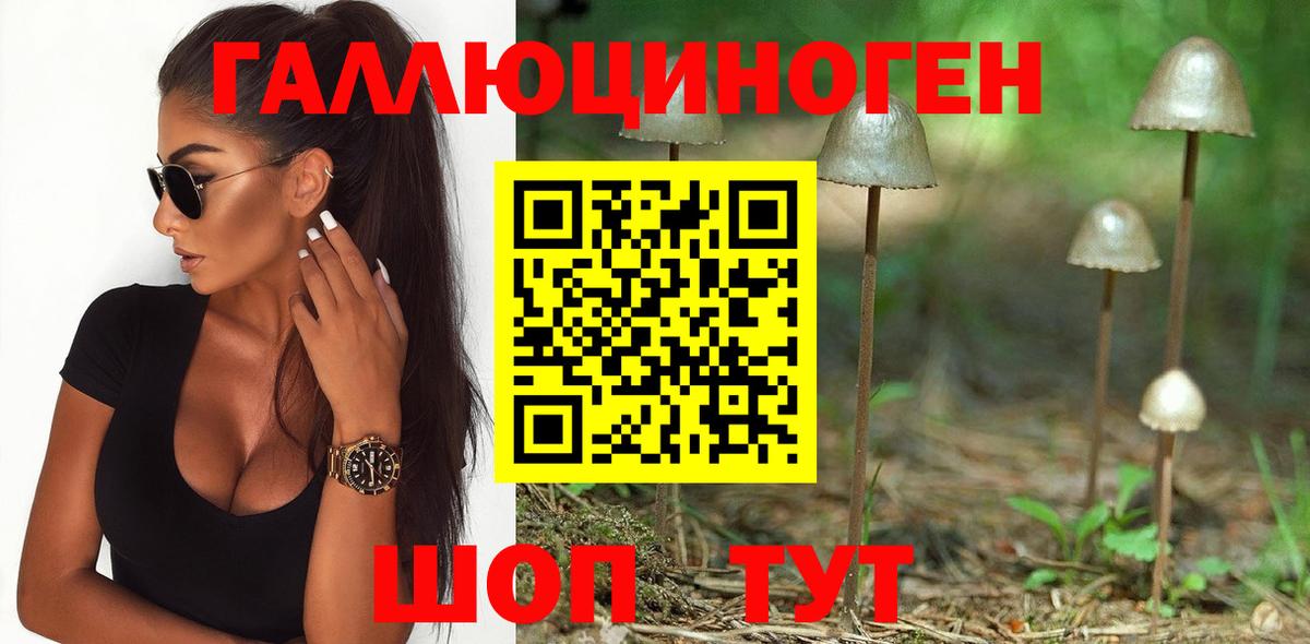 Псилоцибиновые грибы Cubensis  Асбест 